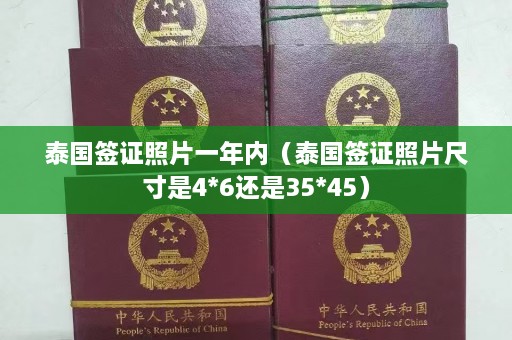 泰国签证照片一年内（泰国签证照片尺寸是4*6还是35*45）  第1张