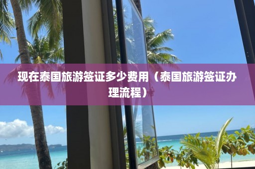 现在泰国旅游签证多少费用（泰国旅游签证办理流程）