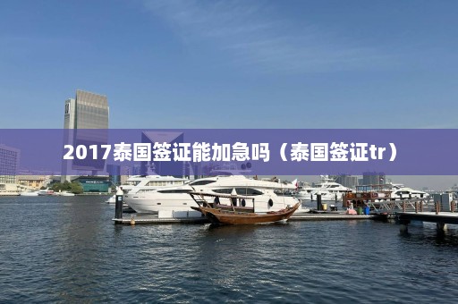 2017泰国签证能加急吗（泰国签证tr）