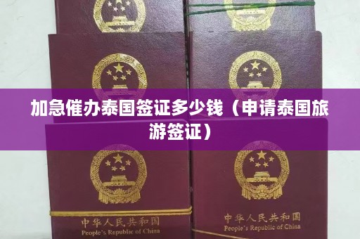 加急催办泰国签证多少钱（申请泰国旅游签证）  第1张