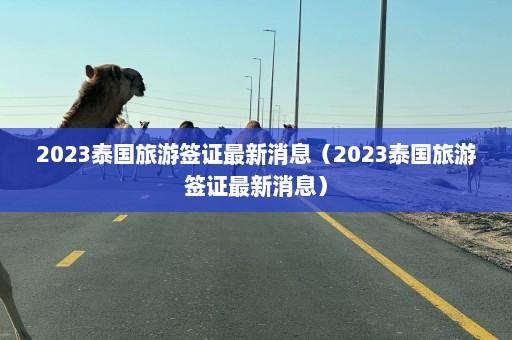 2023泰国旅游签证最新消息（2023泰国旅游签证最新消息）