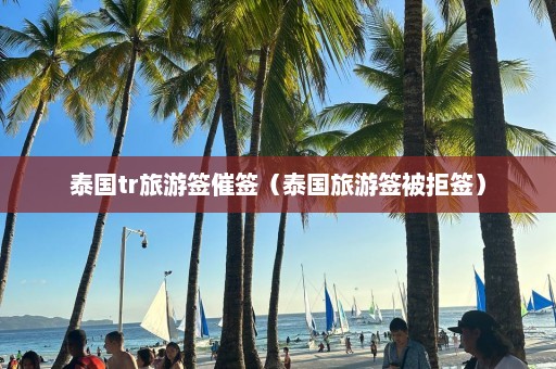 泰国tr旅游签催签（泰国旅游签被拒签）