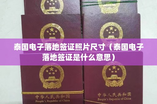 泰国电子落地签证照片尺寸（泰国电子落地签证是什么意思）  第1张