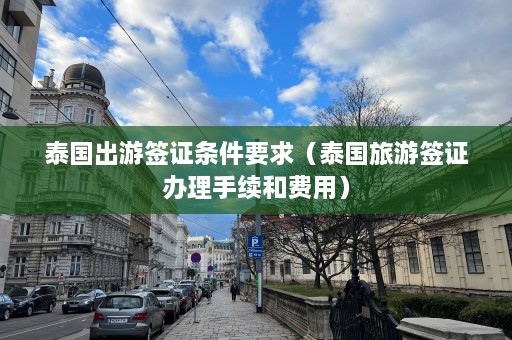 泰国出游签证条件要求（泰国旅游签证办理手续和费用）  第1张