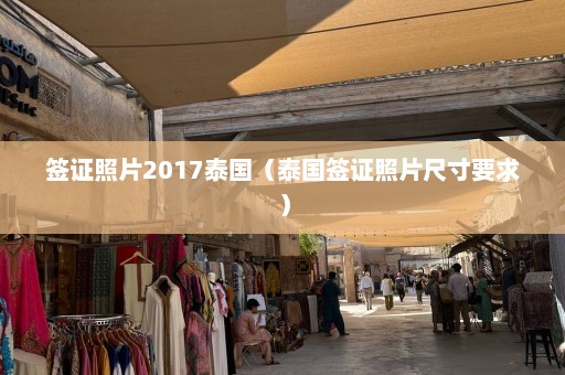 签证照片2017泰国（泰国签证照片尺寸要求）