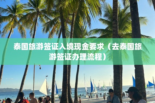 泰国旅游签证入境现金要求（去泰国旅游签证办理流程）  第1张