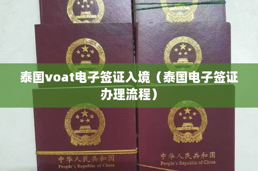 泰国voat电子签证入境（泰国电子签证办理流程）  第1张