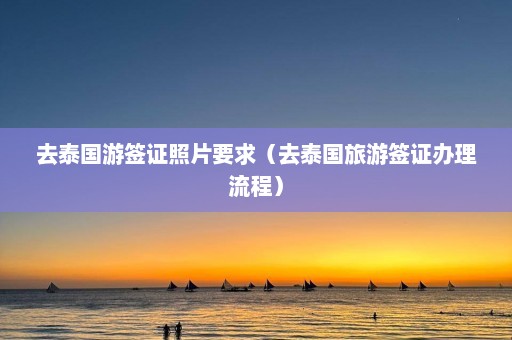 去泰国游签证照片要求（去泰国旅游签证办理流程）