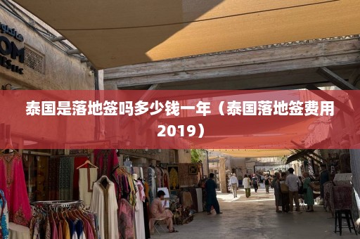 泰国是落地签吗多少钱一年（泰国落地签费用2019）