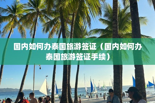 国内如何办泰国旅游签证（国内如何办泰国旅游签证手续）