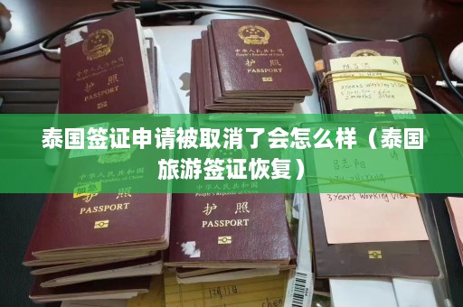 泰国签证申请被取消了会怎么样（泰国旅游签证恢复）  第1张