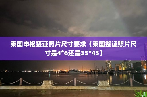 泰国申根签证照片尺寸要求（泰国签证照片尺寸是4*6还是35*45）