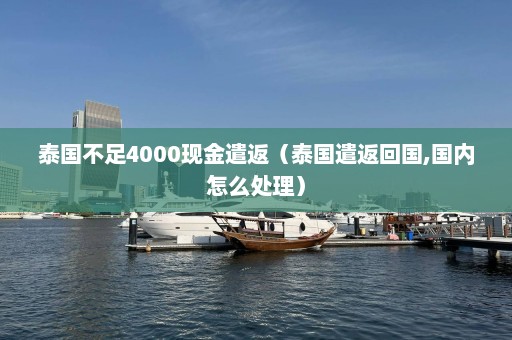 泰国不足4000现金遣返（泰国遣返回国,国内怎么处理）