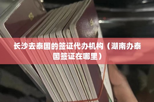 长沙去泰国的签证代办机构（湖南办泰国签证在哪里）  第1张