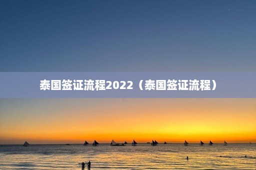 泰国签证流程2022（泰国签证流程）