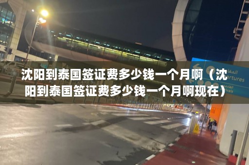 沈阳到泰国签证费多少钱一个月啊（沈阳到泰国签证费多少钱一个月啊现在）  第1张