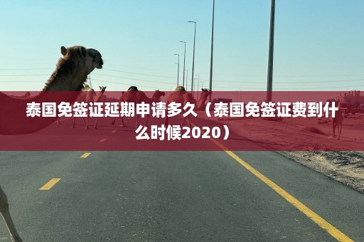 泰国免签证延期申请多久（泰国免签证费到什么时候2020）