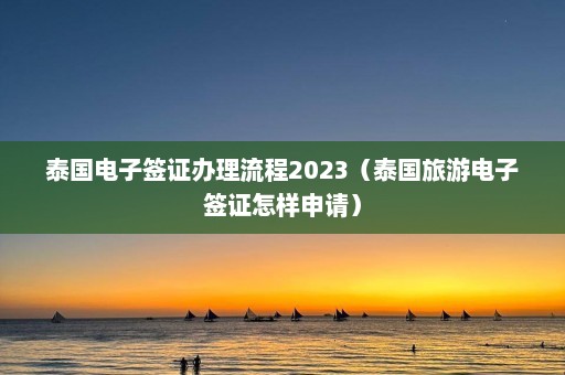 泰国电子签证办理流程2023（泰国旅游电子签证怎样申请）