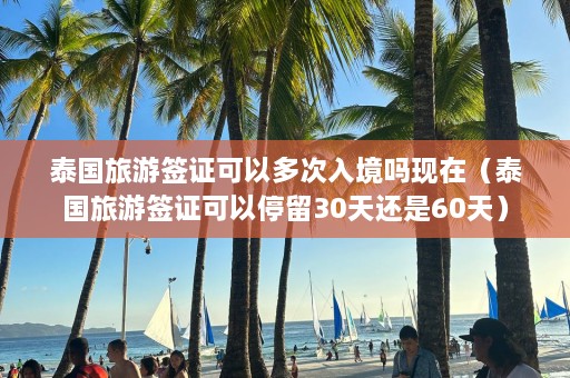 泰国旅游签证可以多次入境吗现在（泰国旅游签证可以停留30天还是60天）  第1张