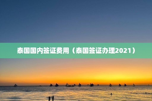 泰国国内签证费用（泰国签证办理2021）