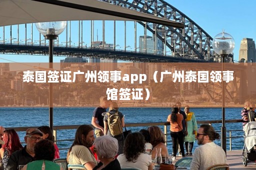 泰国签证广州领事app（广州泰国领事馆签证）  第1张