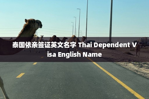 泰国依亲签证英文名字 Thai Dependent Visa English Name