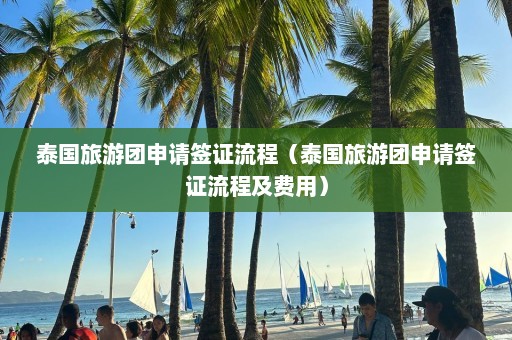 泰国旅游团申请签证流程（泰国旅游团申请签证流程及费用）