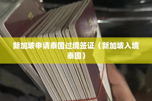 新加坡申请泰国过境签证（新加坡入境泰国）  第1张