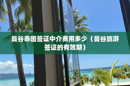 曼谷泰国签证中介费用多少（曼谷旅游签证的有效期）  第1张