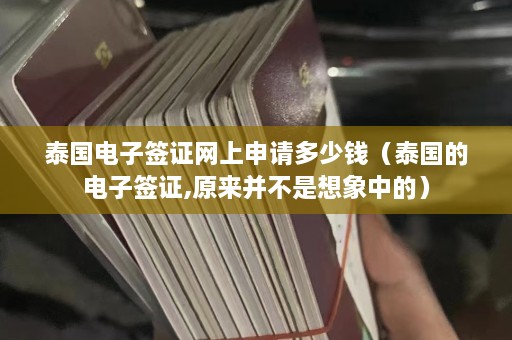 泰国电子签证网上申请多少钱（泰国的电子签证,原来并不是想象中的）  第1张