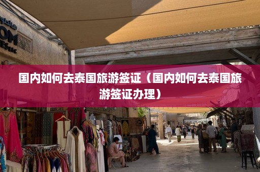 国内如何去泰国旅游签证（国内如何去泰国旅游签证办理）