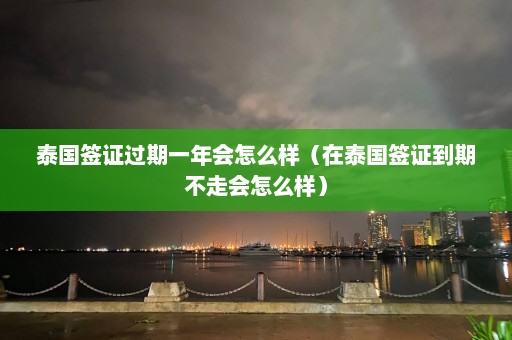 泰国签证过期一年会怎么样（在泰国签证到期不走会怎么样）