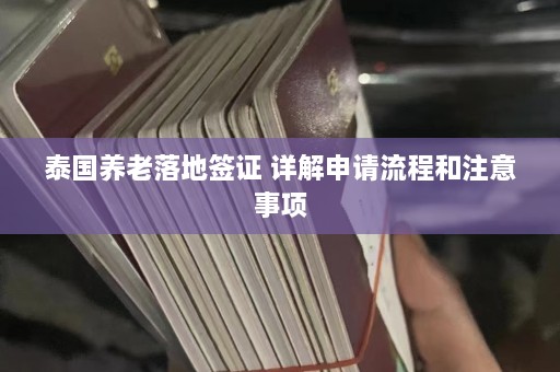 泰国养老落地签证 详解申请流程和注意事项  第1张