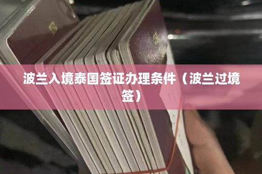 波兰入境泰国签证办理条件（波兰过境签）  第1张