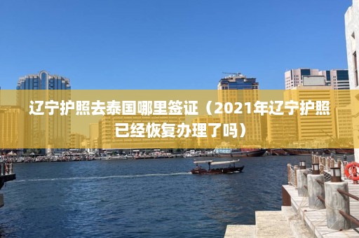 辽宁护照去泰国哪里签证（2021年辽宁护照已经恢复办理了吗）