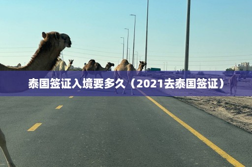 泰国签证入境要多久（2021去泰国签证）