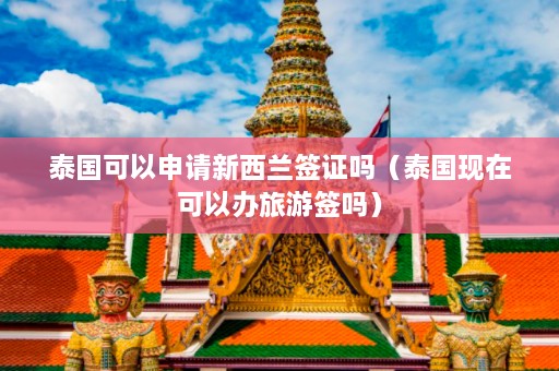 泰国可以申请新西兰签证吗（泰国现在可以办旅游签吗）  第1张