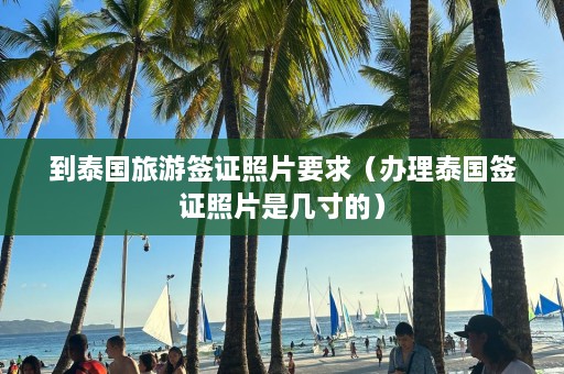 到泰国旅游签证照片要求（办理泰国签证照片是几寸的）  第1张