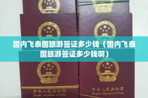 国内飞泰国旅游签证多少钱（国内飞泰国旅游签证多少钱啊）  第1张