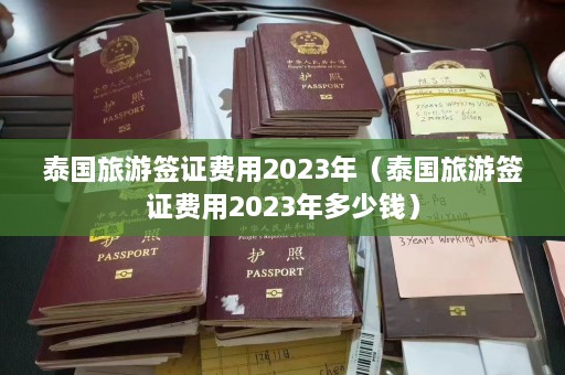 泰国旅游签证费用2023年（泰国旅游签证费用2023年多少钱）  第1张