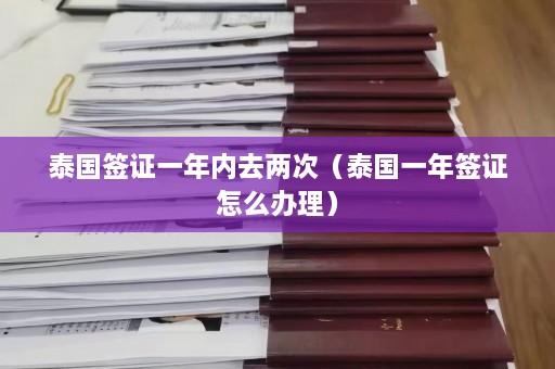 泰国签证一年内去两次（泰国一年签证怎么办理）  第1张