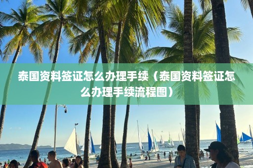 泰国资料签证怎么办理手续（泰国资料签证怎么办理手续流程图）