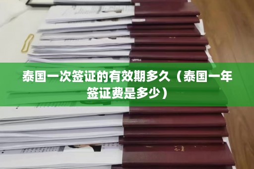 泰国一次签证的有效期多久（泰国一年签证费是多少）  第1张