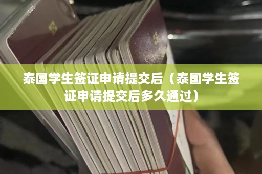 泰国学生签证申请提交后（泰国学生签证申请提交后多久通过）  第1张