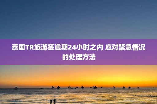 泰国TR旅游签逾期24小时之内 应对紧急情况的处理 ***   第1张