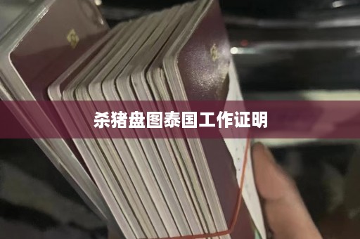 杀猪盘图泰国工作证明  第1张