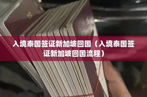 入境泰国签证新加坡回国（入境泰国签证新加坡回国流程）  第1张