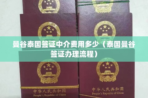 曼谷泰国签证中介费用多少（泰国曼谷签证办理流程）  第1张