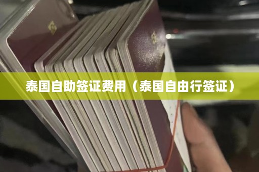 泰国自助签证费用（泰国自由行签证）