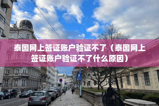 泰国网上签证账户验证不了（泰国网上签证账户验证不了什么原因）  第1张